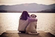 Come superare la depressione per la perdita di un cane