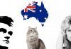 australia sopprimere gatti