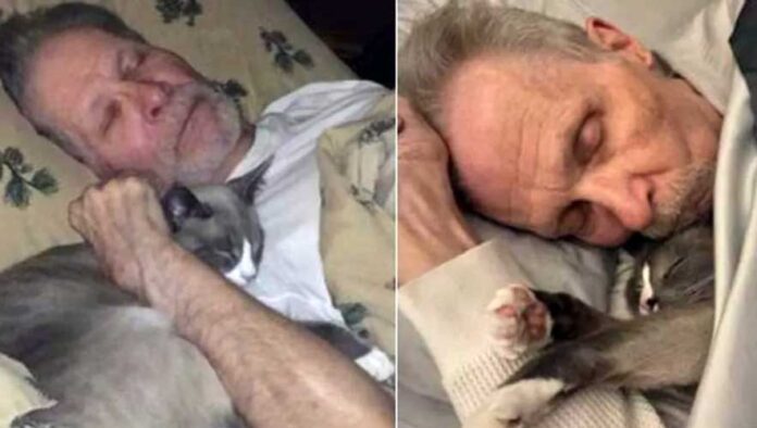 gatto e uomo con Alzheimer
